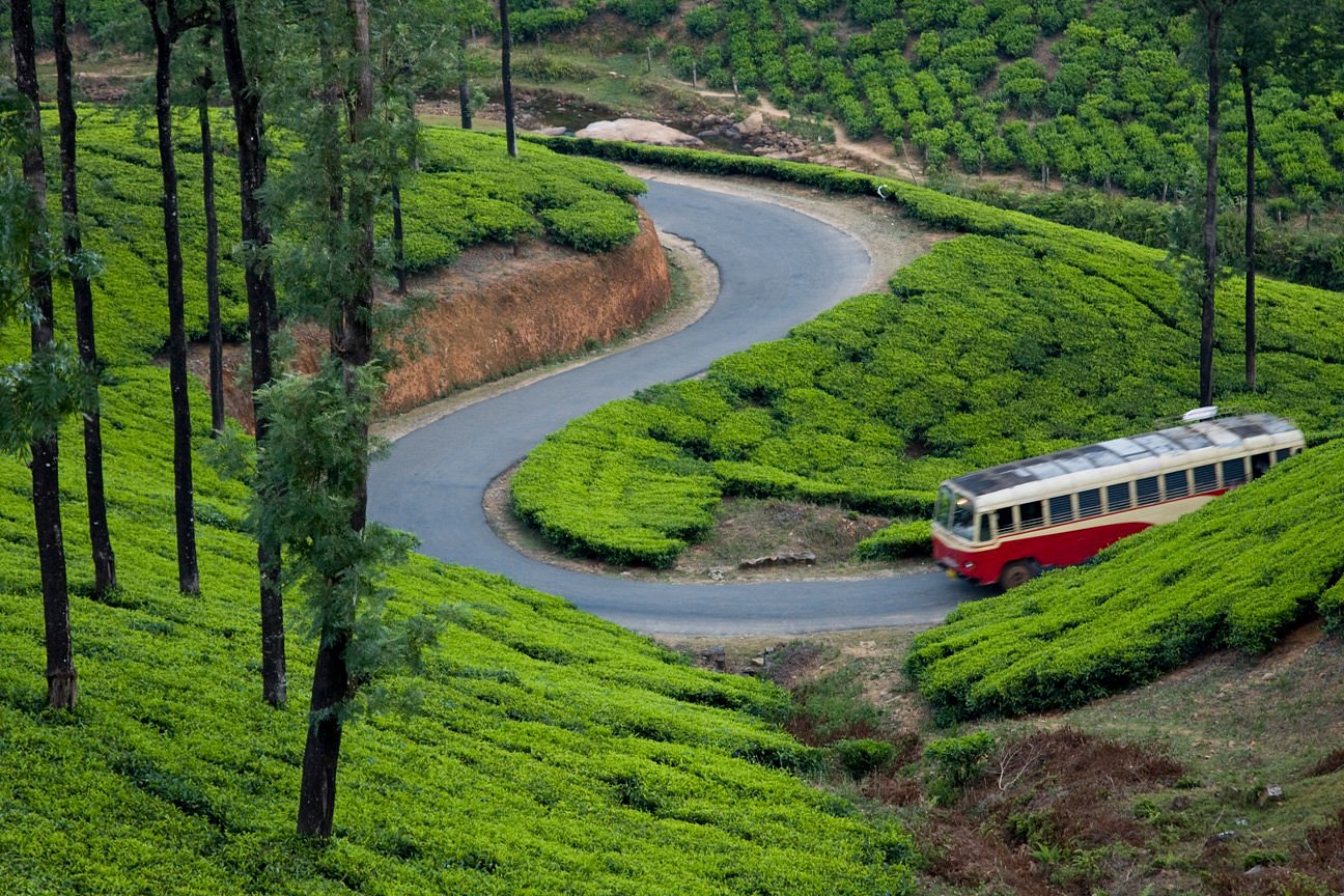 Scenic road through Western Ghats