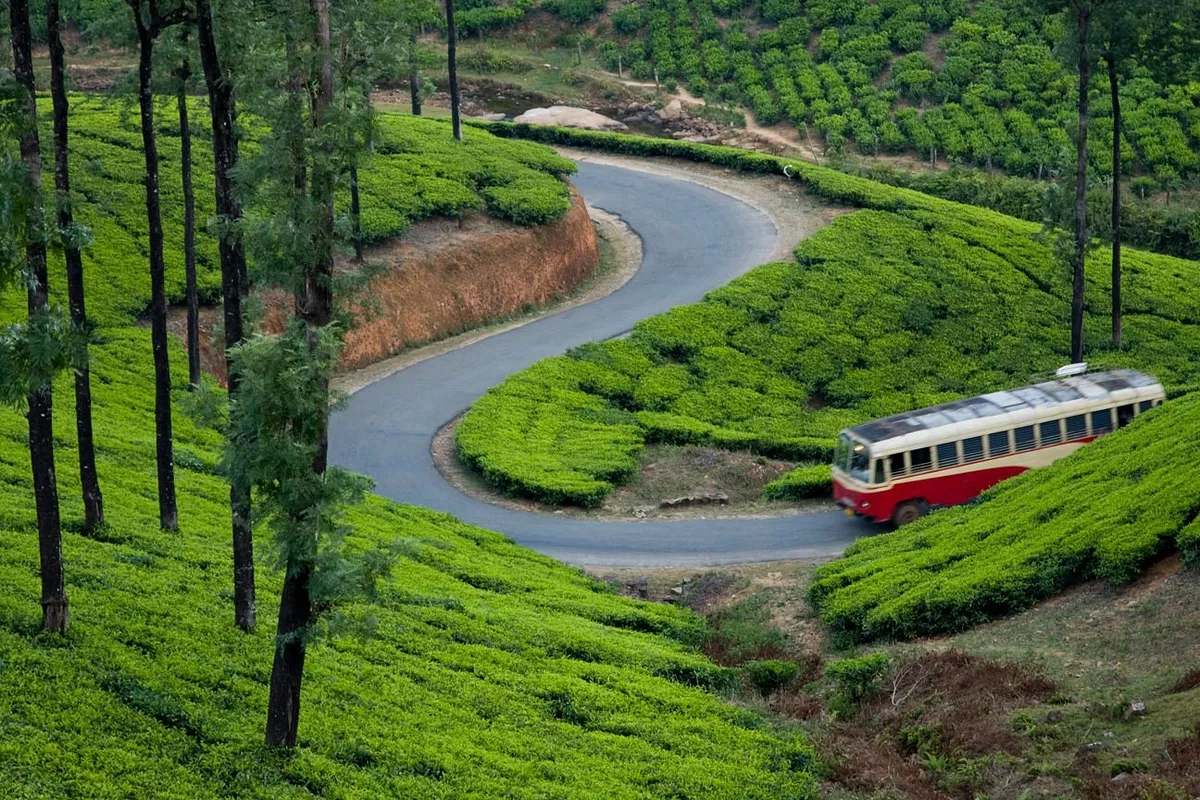 Calicut to Wayanad Taxi Booking Guide – Ghat Travel Tips
