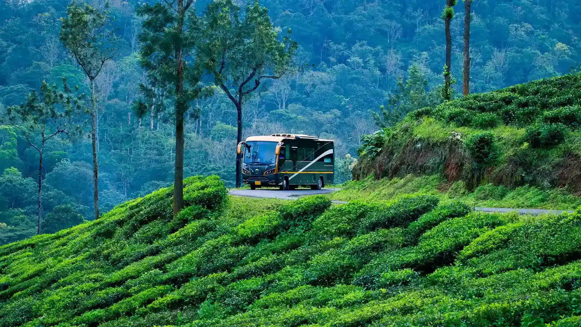 Kochi to Ooty Taxi Guide – Best Route, Distance & Tips