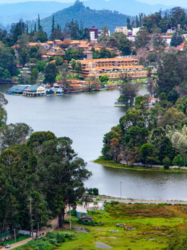 Kodaikanal hills