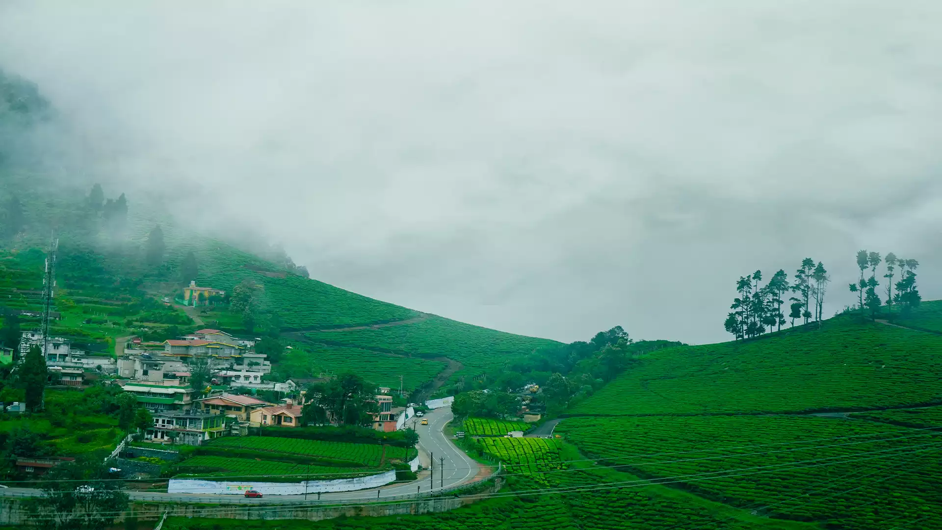 Kochi to Ooty Taxi Guide – Best Route, Distance & Tips